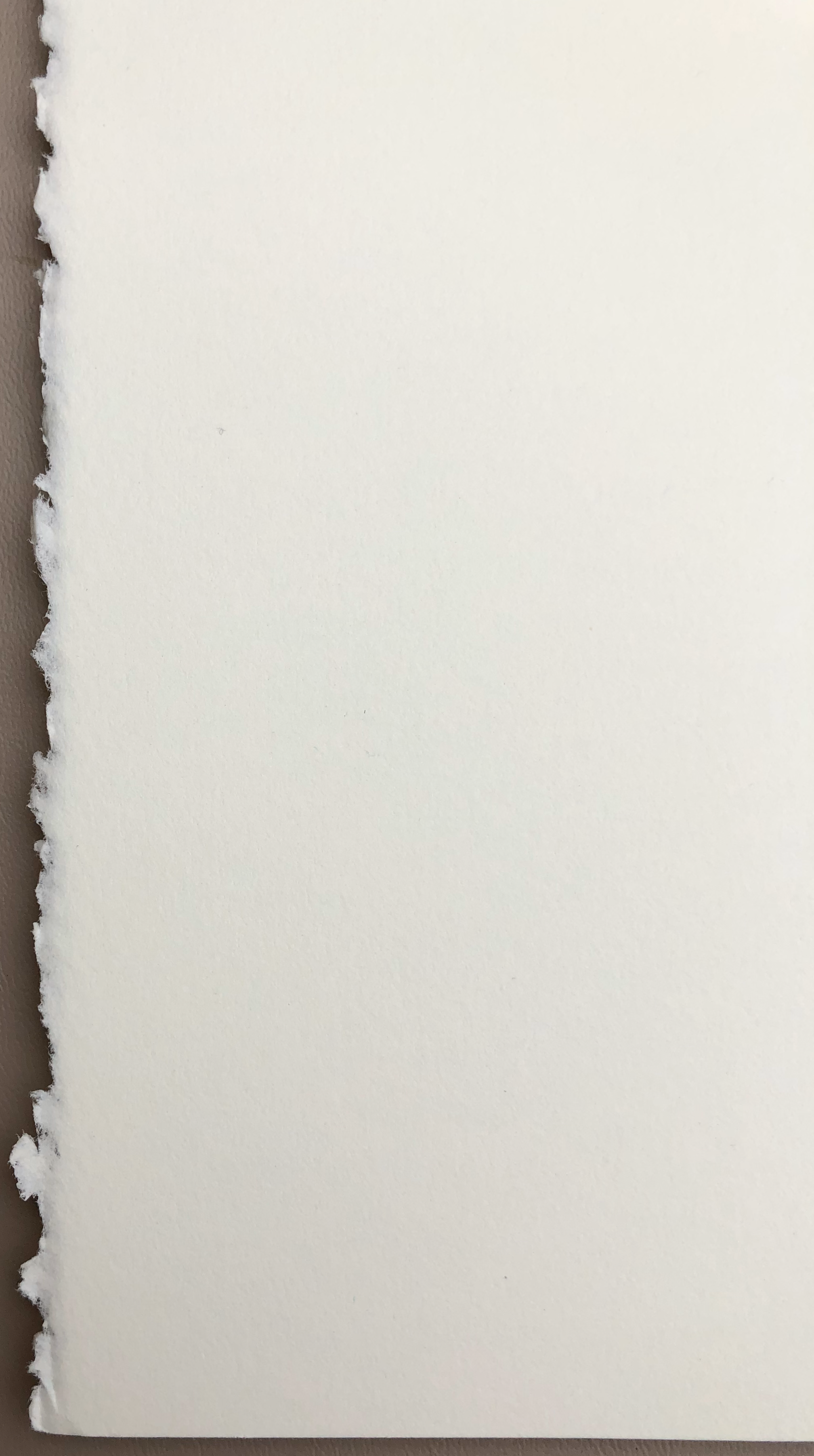 Original Block Print /.  "Two Navy Open Circles Over Silver"